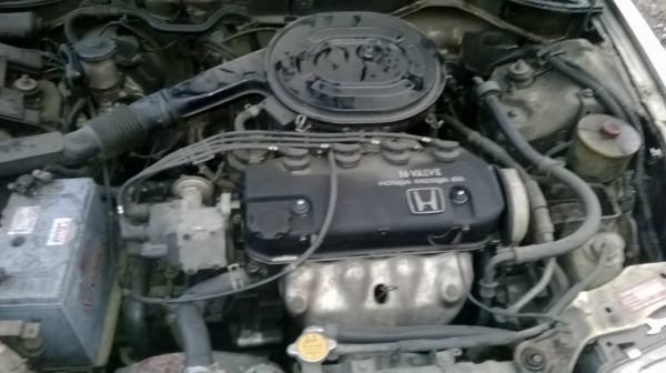 ขายซีวีค91ถูกๆดีๆ ขายซีวีค91ถูกๆดีๆ