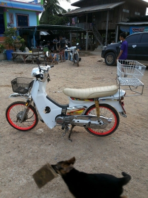 -ดรีมคุรุสภา ทะเบียน ขาย16800 คัฟ