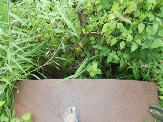 ฝากขายครับเพื่อมีคนสนใจ ถังน้ำใหญ่