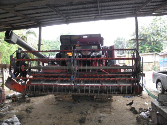 ขายรถเกี่ยวอมตะปี55 พร้อมใช้ช่วงล่างทำใหม่ราคาคุยกันได้ติดต่อ0847823249 ขายรถเกี่ยวอมตะปี55 พร้อมใช้ช่วงล่างทำใหม่ราคาคุยกันได้ติดต่อ0847823249