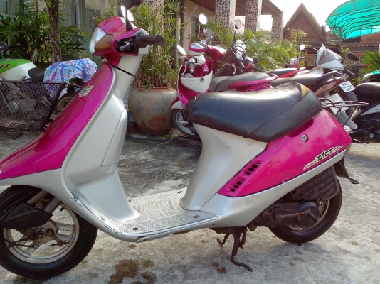 ขายรถป็อป HONDA TACT สภาพดีราคาถูกด่วน ขายรถป็อป HONDA TACT สภาพดีราคาถูกด่วน