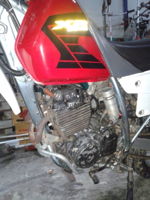 ขายhonda xr250r