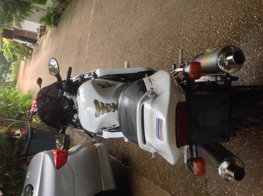 ขายครับ honda 1100 blackbird สีขาว ด่วน!!! อินวอย