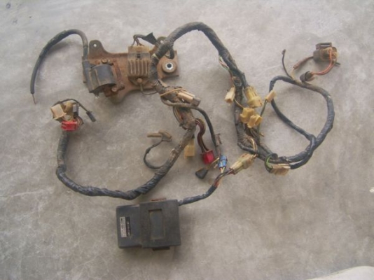 ชุดสายไฟ เซอร์ปีโก้+กล่องใหญ่