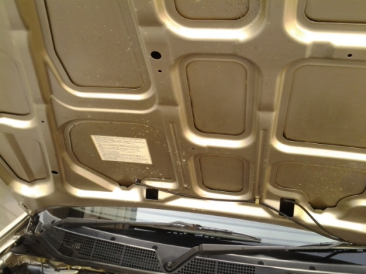 ขายซีวิคตาโตสภาพนางฟ้าครับ ปี1999 ขายซีวิคตาโตสภาพนางฟ้าครับ ปี1999