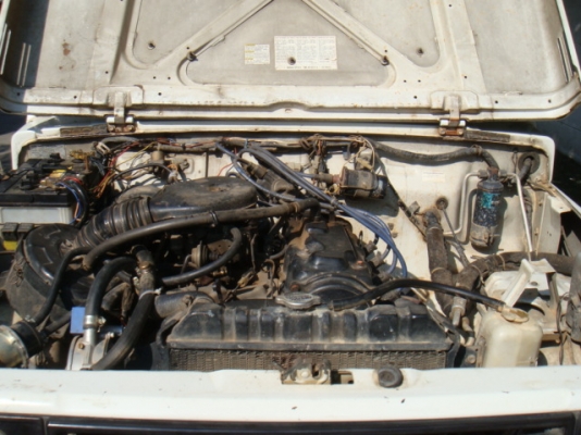 ขายแล้ว ขายแล้ว