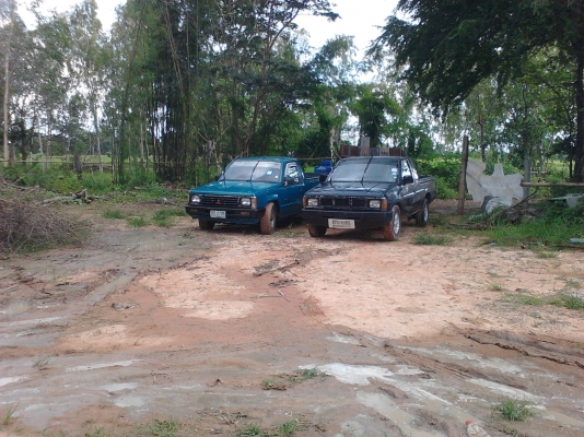 ขาย big m แค๊ปเล็ก เครื่องฝาแดง