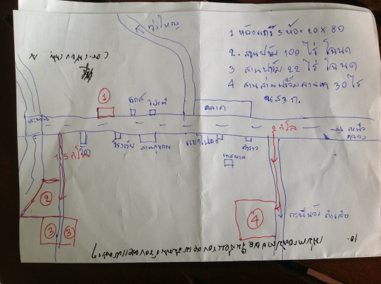 ขายที่ดินพร้อมสวนยางอ. เขาพนม จ. กะบี นส3ก30ไร่