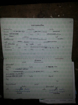 ขายหมูยักษ์