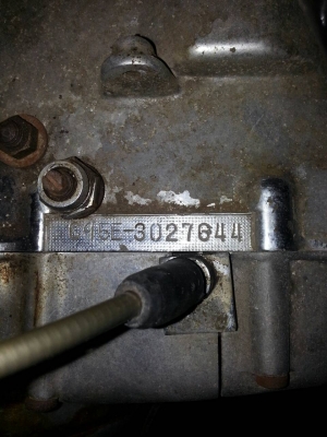 ขายหมูยักษ์