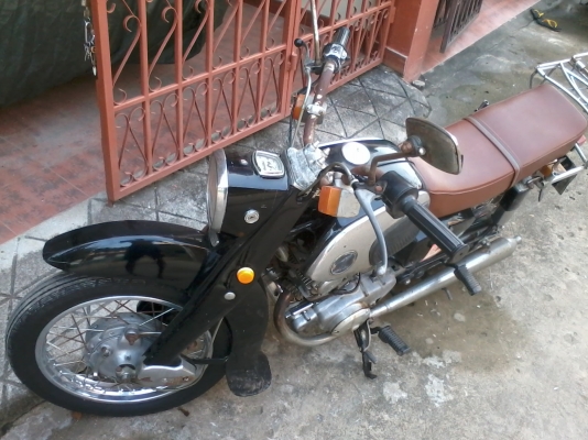 ขายหมูยักษ์