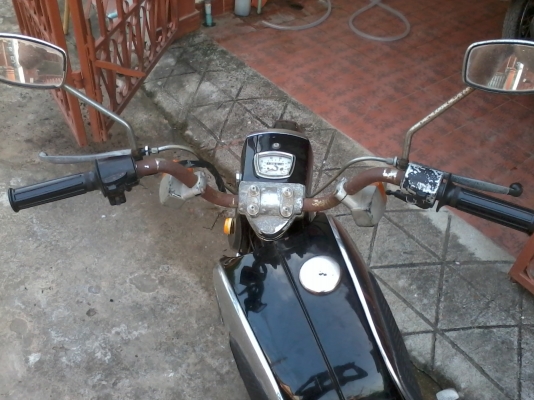 ขายหมูยักษ์