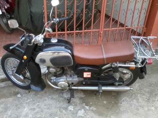 ขายหมูยักษ์