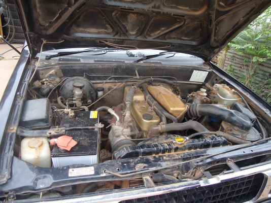 tfrหัวเดียว ปี32 ราคา78000 tfrหัวเดียว ปี32 ราคา78000