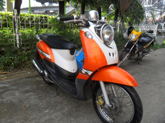 ขายฟีโน่ปี50