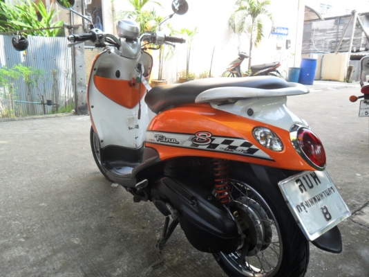 ขายฟีโน่ปี50