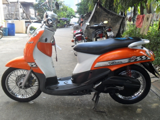 ขายฟีโน่ปี50