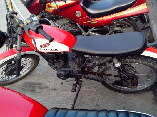 เอามาขายเป็นฝูง