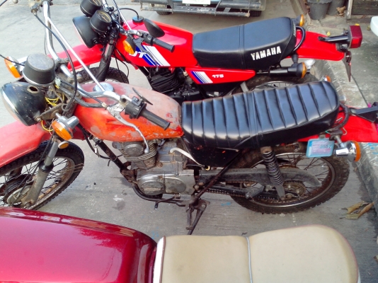 เอามาขายเป็นฝูง