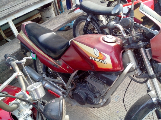 เอามาขายเป็นฝูง