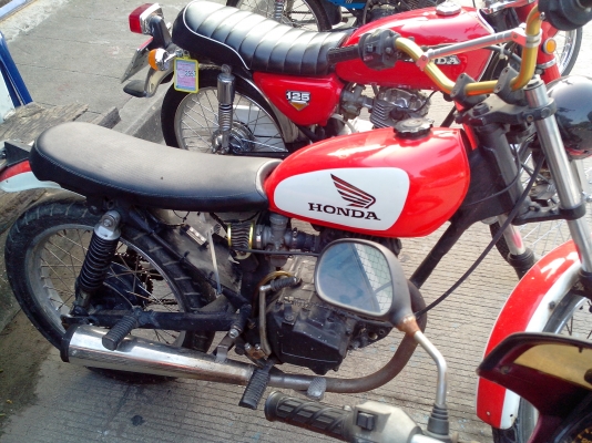 เอามาขายเป็นฝูง