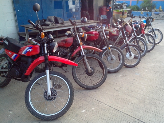 เอามาขายเป็นฝูง