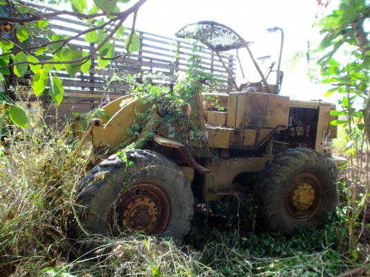 ขายด่วนรถตักCAT920ล้อยางเอวออ่นมีเอกสาร