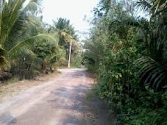 ขายที่ดินสมุทรสงคราม