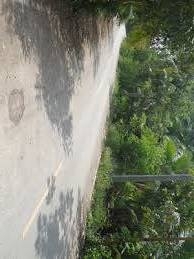 ขายที่ดินสมุทรสงคราม