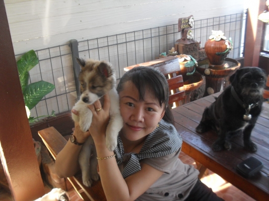 085 - 7666984  รับตอกเสาเข็มทั่วภาคอีสานเน้นพื้นที่เขาใหญ่...ปากช่อง