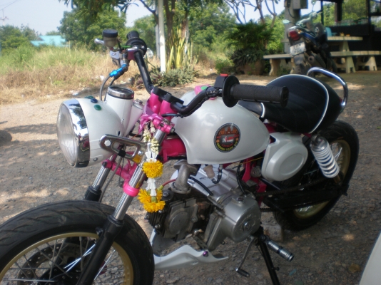 ขาย ลิงน้อย สีสวย