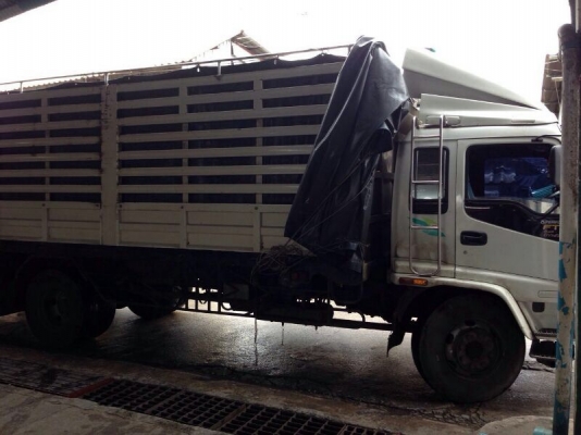 รถอีซูซุ 6 ล้อ รั้ว FTR  195 แรงม้า ปี 46   สนใจติดต่อ 081 - 6079515