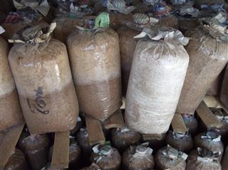 ต้องการเทคโอเวอร์ ลูกค้า  รับประกันรายได้ ที่ 64000 บท ต่อเดือน