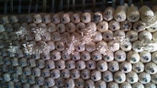 ต้องการเทคโอเวอร์ ลูกค้า  รับประกันรายได้ ที่ 64000 บท ต่อเดือน