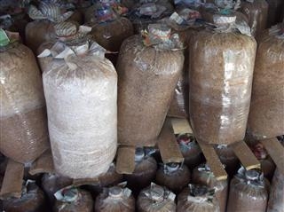 ต้องการเทคโอเวอร์ ลูกค้า  รับประกันรายได้ ที่ 64000 บท ต่อเดือน