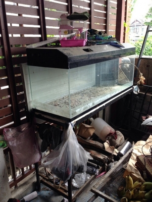 ตู้ปลาขนาด 60*20*20 กรองมุม ตู้ปลาขนาด 60*20*20 กรองมุม