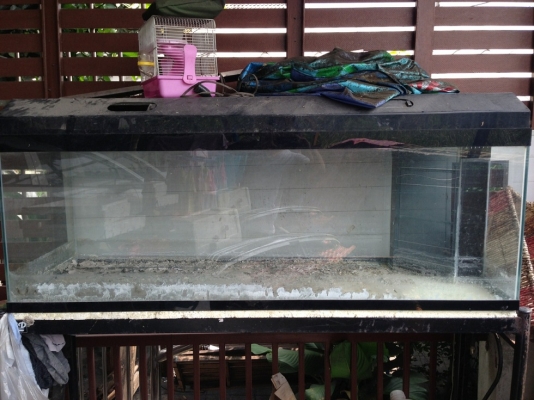 ตู้ปลาขนาด 60*20*20 กรองมุม