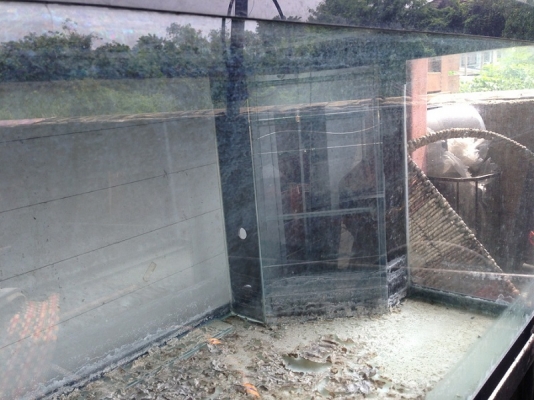 ตู้ปลาขนาด 60*20*20 กรองมุม ตู้ปลาขนาด 60*20*20 กรองมุม