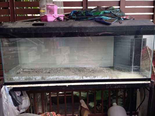 ตู้ปลาขนาด 60*20*20 กรองมุม ตู้ปลาขนาด 60*20*20 กรองมุม