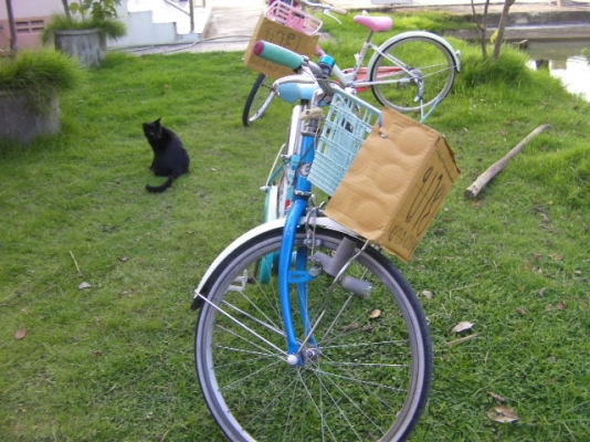 จักรยานสีฟ้าของนอกจากญี่ปุ่นสภาพสวยมีตัวปั่นไฟราคา1650บาท จักรยานสีฟ้าของนอกจากญี่ปุ่นสภาพสวยมีตัวปั่นไฟราคา1650บาท