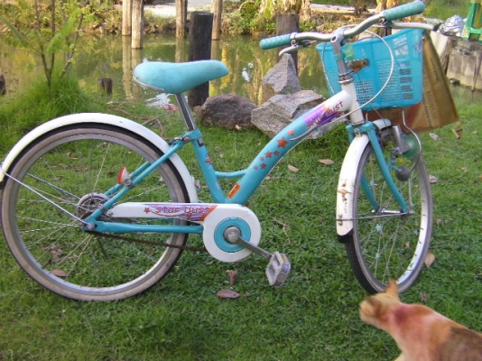 รถจักรยานสีฟ้าขนาดกลางสภาพดีราคา 1,500บาท