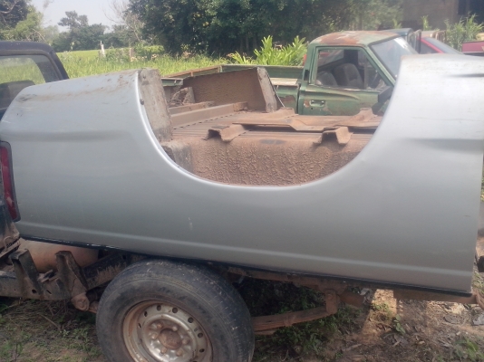 ลูกกะบะฟรอนเทียร์แคบพร้อมแม็กลายเนอร์14000พร้อมส่ง