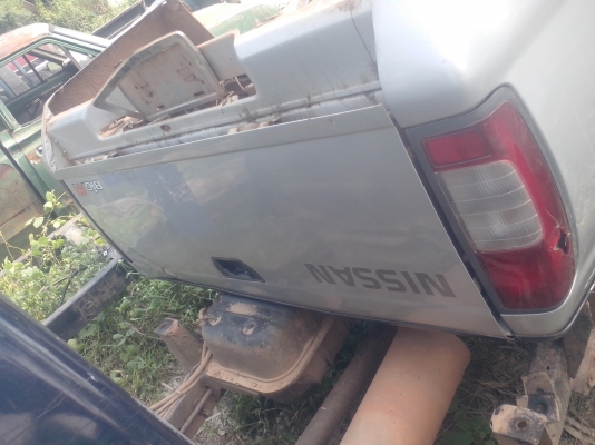 ลูกกะบะฟรอนเทียร์แคบพร้อมแม็กลายเนอร์14000พร้อมส่ง