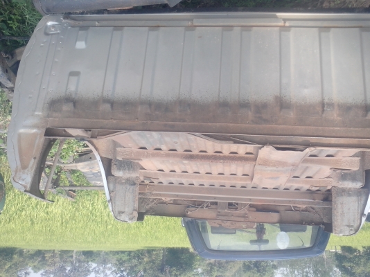 ลูกกะบะฟรอนเทียร์แคบพร้อมแม็กลายเนอร์14000พร้อมส่ง