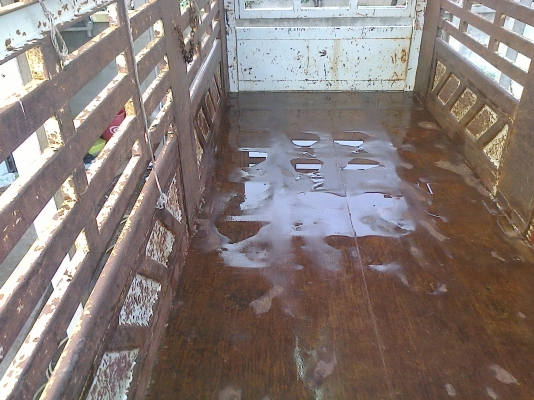 ขายลูกพ่วง3มิตรเเท้ สนใจติดต่อได้ที่ 089-9198420