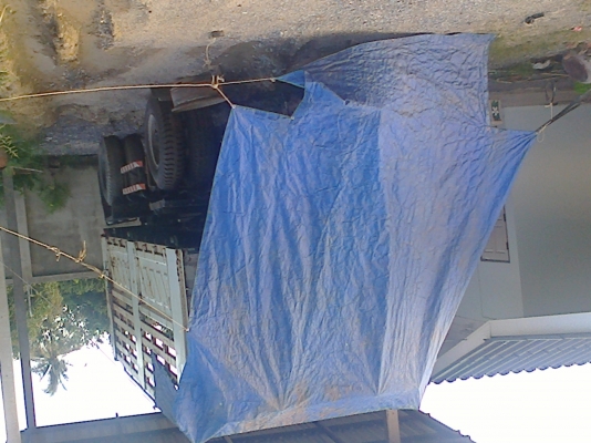 ขายลูกพ่วง3มิตรเเท้ สนใจติดต่อได้ที่ 089-9198420