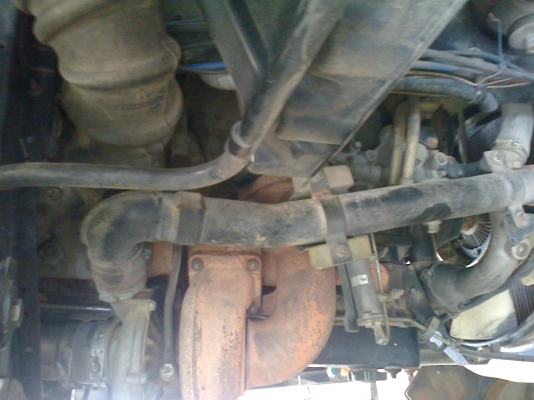 ขายลูกพ่วง3มิตรเเท้ สนใจติดต่อได้ที่ 089-9198420