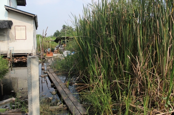 ขายที่เปล่าเนื้อที่110ตารางวาในซอยหัวกระบือ