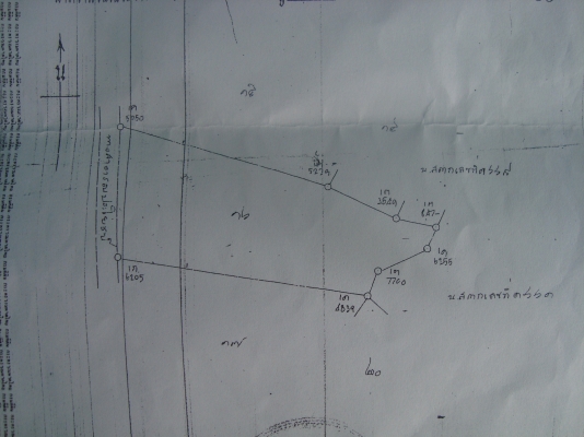 ที่โฉนด จำนวน 26 ไร่ ที่โฉนด จำนวน 26 ไร่