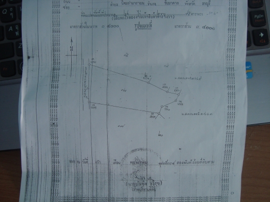 ที่โฉนด จำนวน 26 ไร่